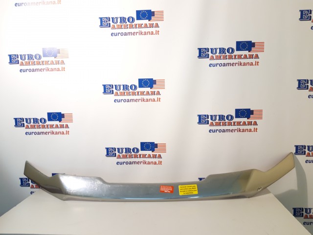 Aeroskin Chrome Hood Protector